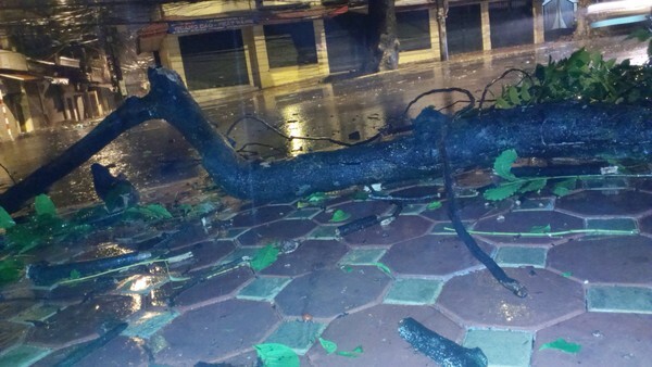 Bão số 3 làm 17 người thương vong