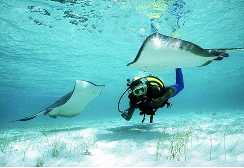 Du lịch Campuchia – Đường tour lạ hút khách