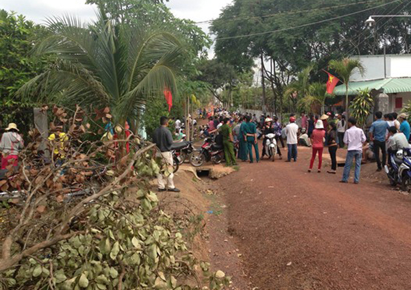 Vợ chồng em đánh chết vợ chồng anh chỉ vì con mèo