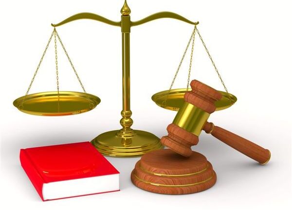 Phó chủ tịch Hội Luật gia TP HCM: Nên luật hóa 