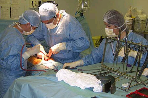 Hà Nội: Ghép gân xương người chết não cho người chấn thương nặng