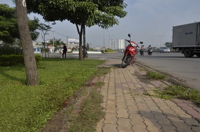 Phút run rẩy của công nhân phát hiện xác chết bị cắt lìa