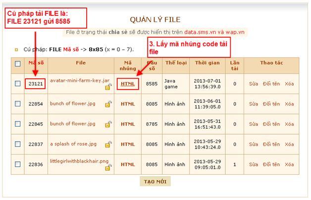 Hướng dẫn kiếm tiền từ bán hotclip