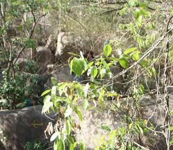 Hành vi đồi bại của kẻ giết nữ nhân viên tiệm vàng