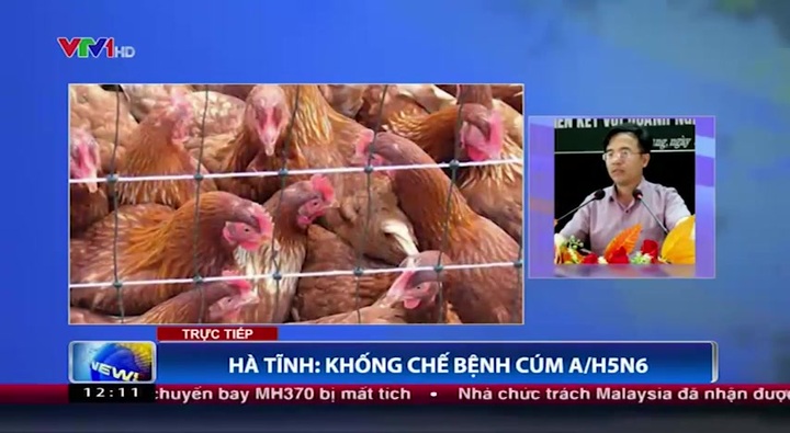 Bệnh cúm A-H5N6 chưa từng lây từ người sang người