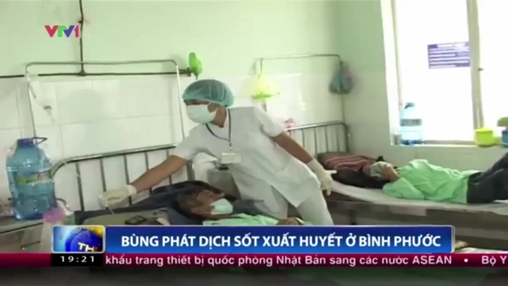Bùng phát dịch sốt xuất huyết ở Bình Phước