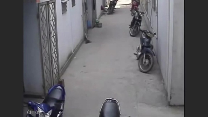 Clip: Ăn trộm quần áo bị 'gia chủ' tung cước như phim chưởng