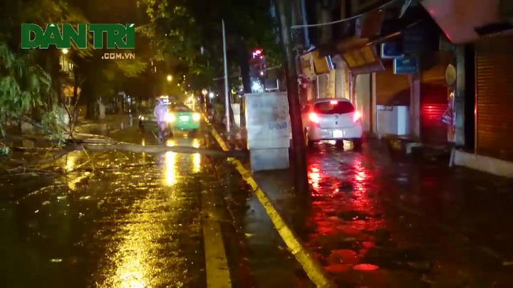 Hà Nội: Cây đổ ngổn ngang sau bão số 3