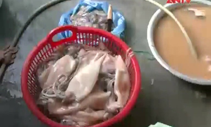 Kinh hoàng tái chế mực đang phân hủy rồi tuồn ra thị trường