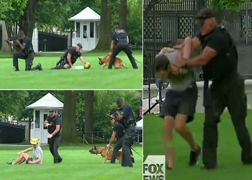 Chó nghiệp vụ tấn công kẻ lạ mặt trèo tường rào Nhà Trắng