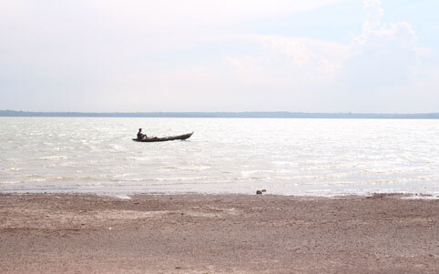 Cá sấu dài 1,2m sổng ra hồ Trị An