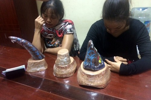 Bắt giữ thêm vụ vận chuyển 7kg sừng tê giác ở sân bay Nội Bài