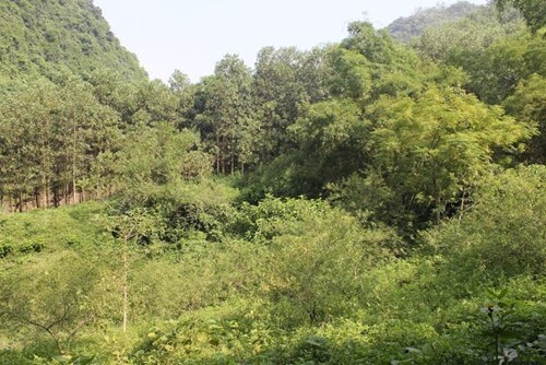 Phát hiện thi thể phân hủy của cụ bà sau gần 8 tháng mất tích