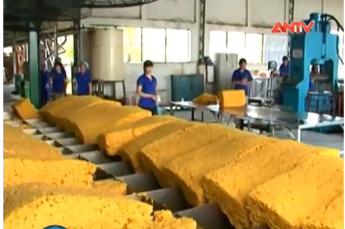 Xử lý sai phạm tại Tập đoàn công nghiệp cao su Việt Nam