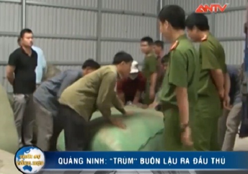 Clip: Trùm buôn lậu ở TP. Móng Cái đầu thú