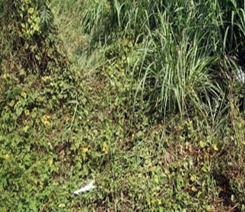 Cái chết bí ẩn của nam thanh niên sau khi bị công an xã tạm giữ