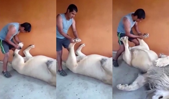 Clip: Đứng tim cảnh thanh niên