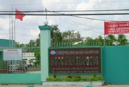 Clip: Bắt Giám đốc công ty thủy sản lừa đảo hàng trăm tỷ