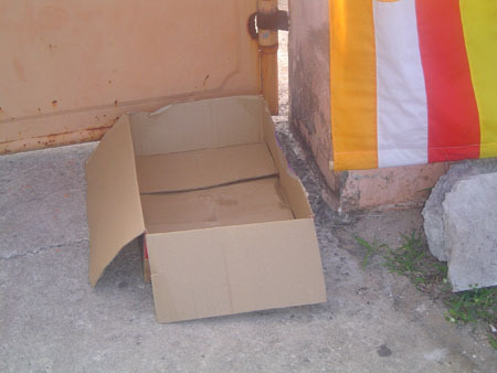 Phát hiện thi thể 2 trẻ sơ sinh bị bỏ trước cổng chùa