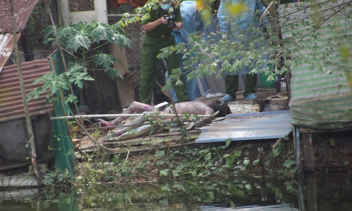 Bình Dương: Phát hiện xác chết nổi trên hồ đá