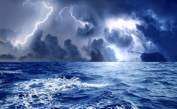 Video: Nội soi sự hình thành của những