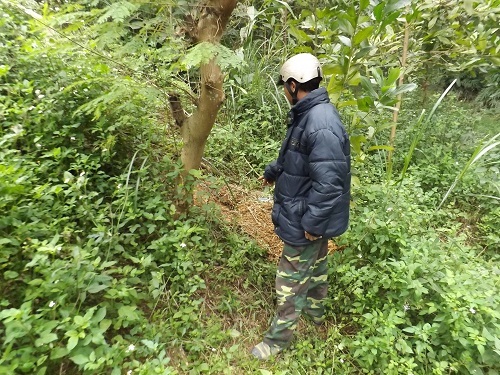  Phát hiện xác trẻ sơ sinh bị chôn trong vườn cao su