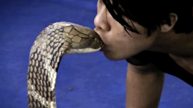 Video: Rùng mình chứng kiến