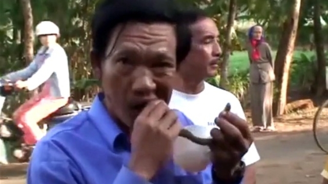 Video: Hãi hùng cảnh
