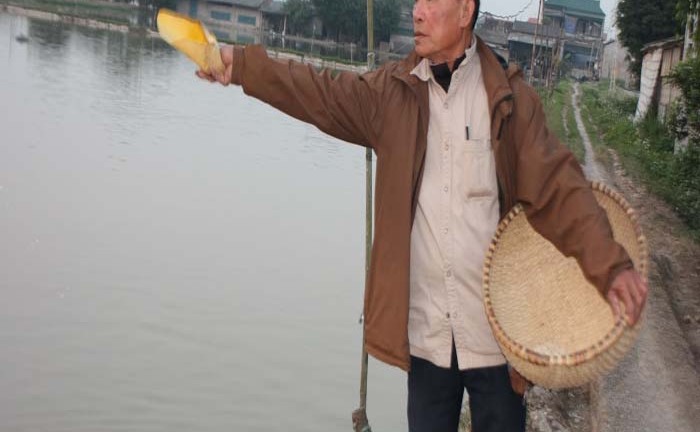 Tiên phong áp dụng mô hình nuôi cá mới thu 200 triệu/năm