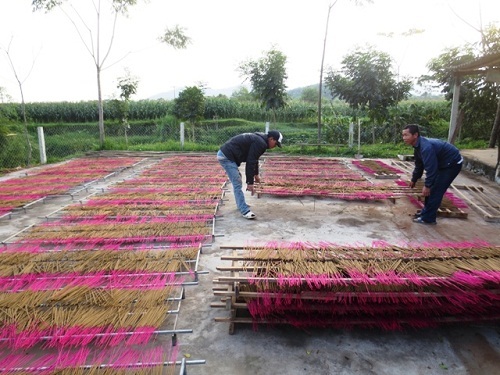 Nghệ An: Làng hương Liên Đức tất bật phục vụ mùa tết