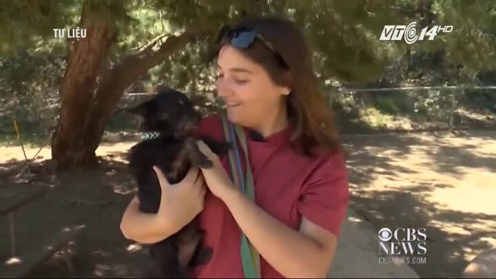 Cảm ơn cuộc đời đã để em lấy được anh