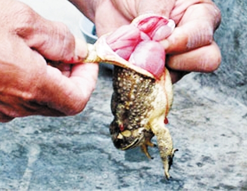 Tin tai nạn giao thông mới nhất ngày 7/4