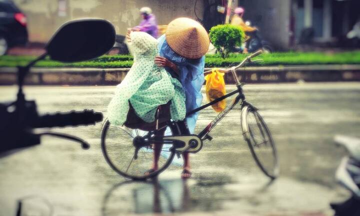 Qu?ng B�nh: Ni?m vui t? vi?c ch?ng th?c ngu?n g?c h?i s?n an to�n