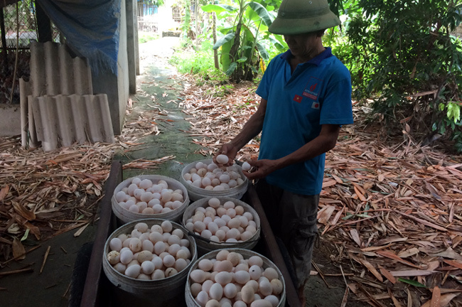 Truy tìm nhóm côn đồ vác mã tấu truy sát... nhầm