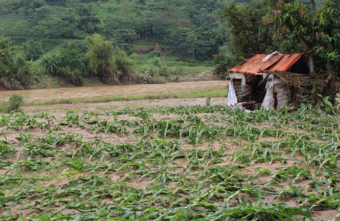 Ki?n to�n nh�n s? m?t s? c? quan