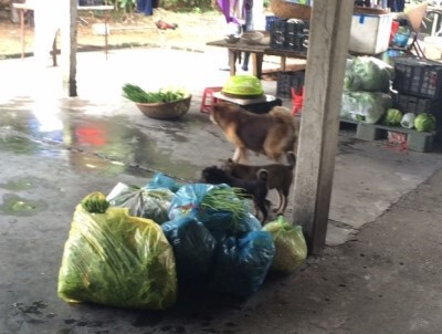 Kh�m ph?c t�i ch?i kh�c c�n c?u c?a t?ng th?ng Nga Putin