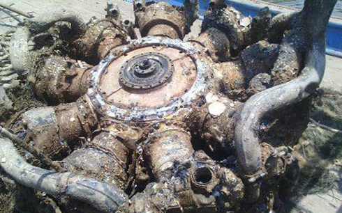 Gi?i ph�p dinh d??ng gi�p tr? ??t chi?u cao v� c�n n?ng theo tu?i