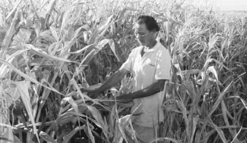 Bi kịch của chữ kỳ 22: Linh cảm về những chuyện không hay