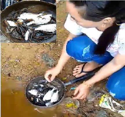 Hà Tĩnh: Nước chuyển màu đỏ, cá chết trắng trên sông