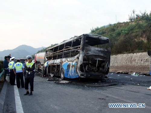 Ngựa chạy lạc vào cao tốc gây tai nạn làm hơn 40 người thương vong