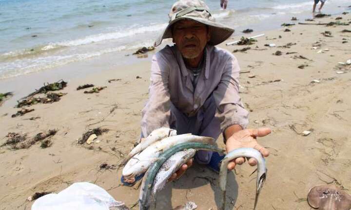 Ngư dân miền Trung khởi kiện Formosa