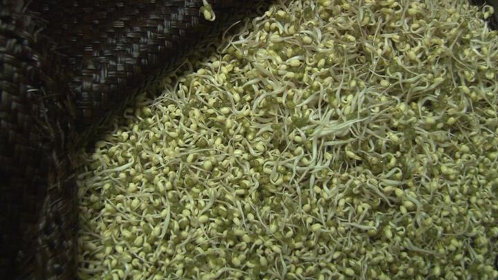 Dùng hoá chất dán nhãn mác Trung Quốc giúp giá đỗ phát triển nhanh