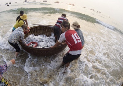Hàng chục nghìn lao động mất việc do sự cố Formosa