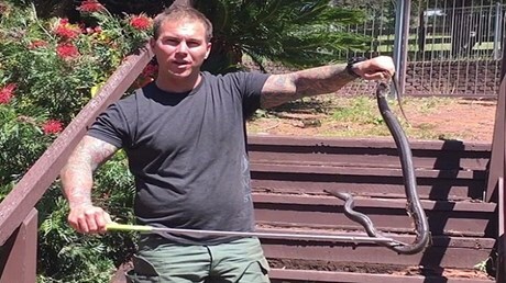 Thấy rắn nâu cực độc đang lột xác, nam thanh niên liều mình tóm gọn