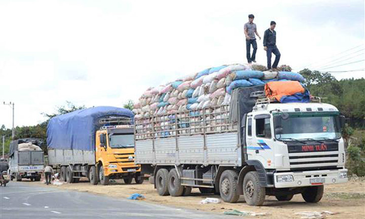 Trung Quốc sẽ phạt nặng nếu xe Việt Nam chở quá khổ, quá tải