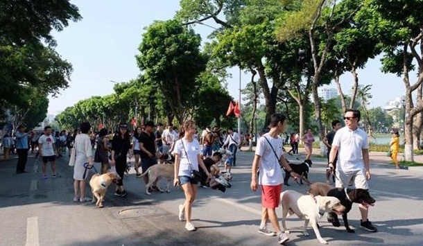 Dắt chó đi dạo hồ Hoàn Kiếm có thể bị phạt
