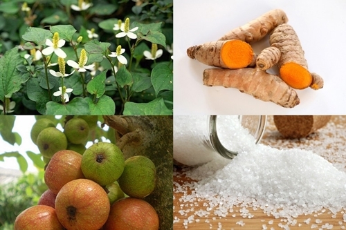 Những loại thuốc chữa bệnh trĩ hiệu quả ngay trong bếp nhà bạn