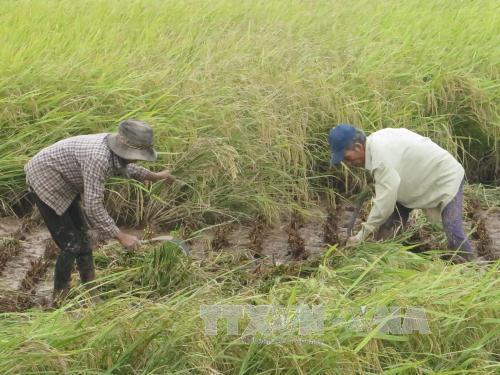 Trích 260 tỉ đồng hỗ trợ 12 địa phương bị bão, lũ
