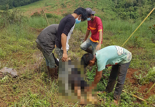 Vụ xả súng làm 19 người thương vong: Tạm giữ chủ vườn điều để điều tra