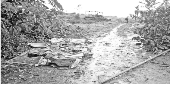 Uẩn khúc vụ xả súng vào công nhân làm 19 người thương vong